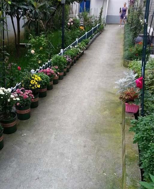 不错吧,这是花房.