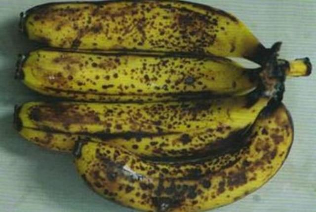 香蕉表皮变黑后还能不能吃,对健康有没有影响