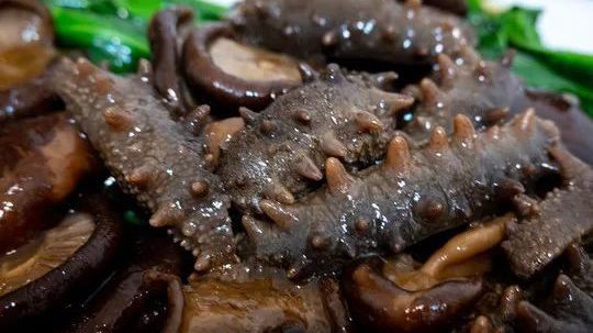 个大刺多,肉质肥厚,正宗辽参,口感Q弹爽滑! 个大刺多,肉质肥厚,正宗辽参,口感Q弹爽滑!