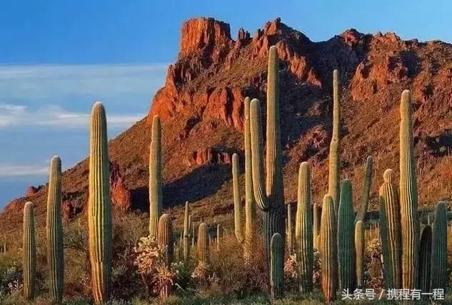 丢人!中国女游客为了拍抖音,竟跑到马来西亚做