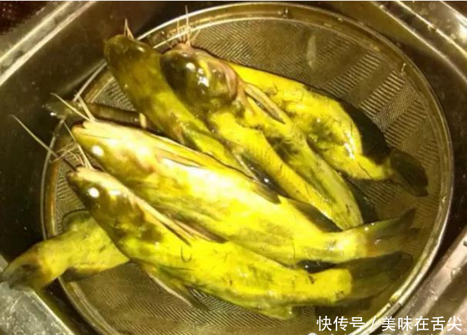 这个鱼就是一根主刺,没有太多的小刺,肉质细嫩