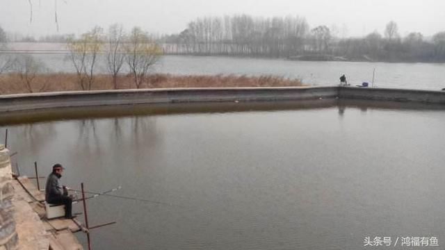 夏天钓鱼,白天气温太高,野钓还是选择夜钓比较