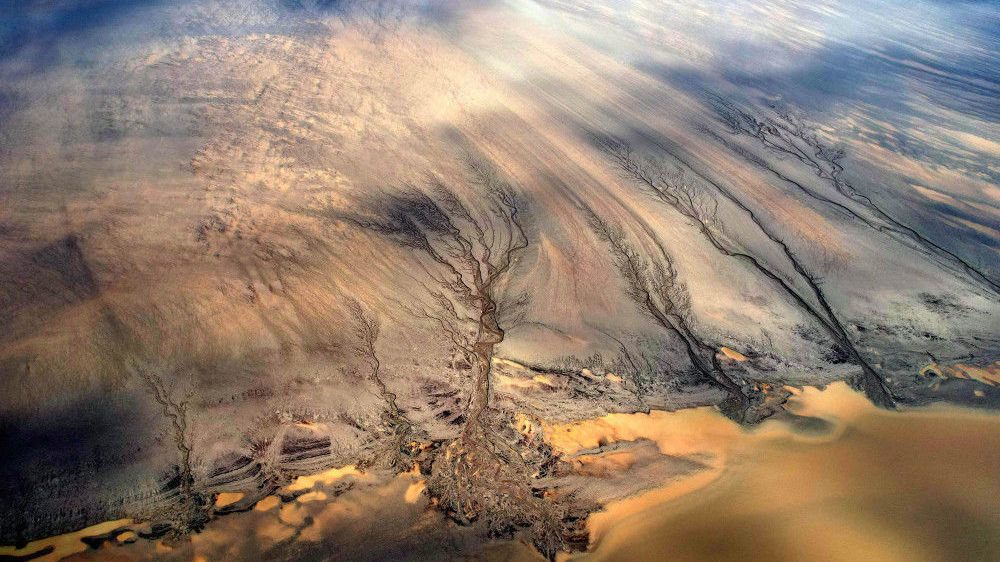 绝美！钱塘江入海口现“潮汐树”景观，宛如水墨画卷