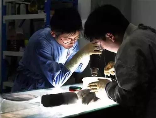 大连尸体加工厂!一位失踪女主播或被制成标本