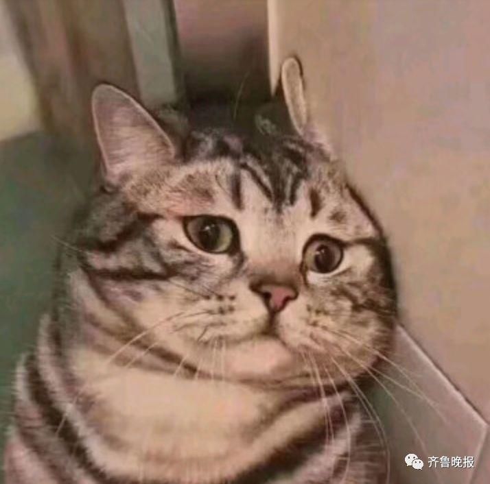 东北女子吃火龙果吃出蛇!还有人吃出壁虎蛋…