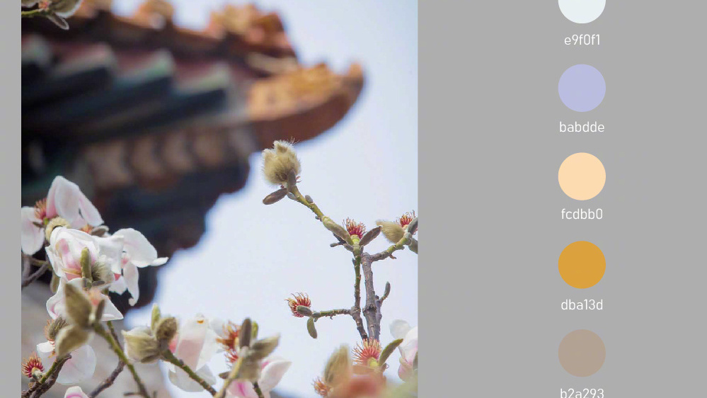 红墙黄瓦 碧水蓝天！用色卡方式打开春日故宫 看到底有多少种颜色→