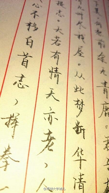大四男生给暗恋女生写情书 字迹清秀引网友点赞