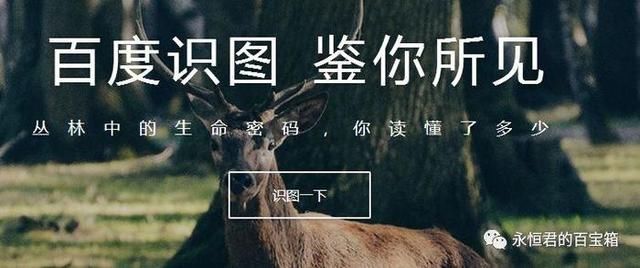 推荐|五款在线图片处理工具,告别图片荒,图片难