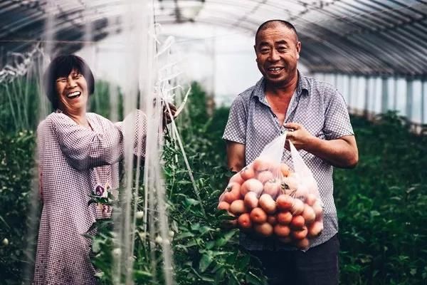 协鑫集团:光伏精准扶贫筑梦美丽乡村