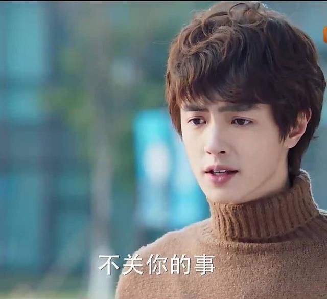 道明寺亲李真流星花园剧情太快杉菜道明寺正式