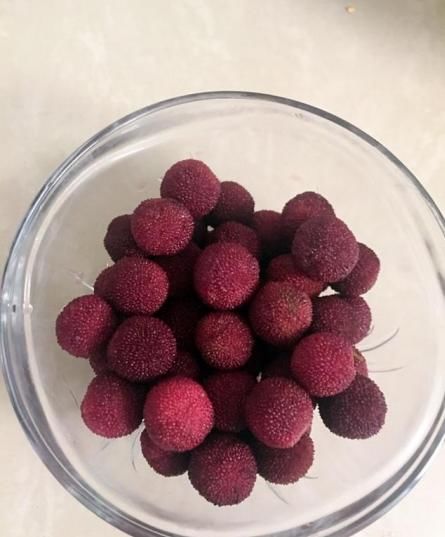 杨梅别直接吃,教你一种新吃法,做法简单又好吃