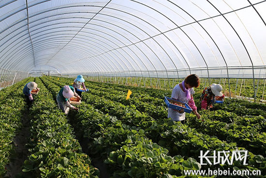 承德打好四张牌推动农业农村高质量发展