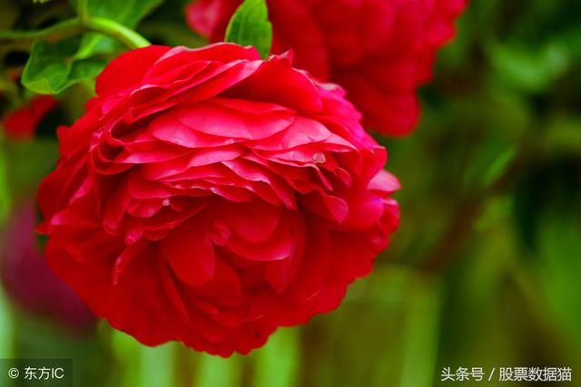 市场出生热门!市场追捧热门!A股热门股票大汇