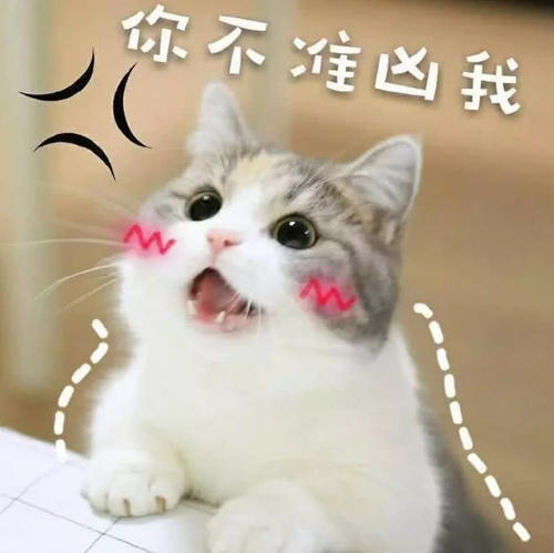 两个凶表情两只企鹅猜成语_两只企鹅采访的表情包(2)