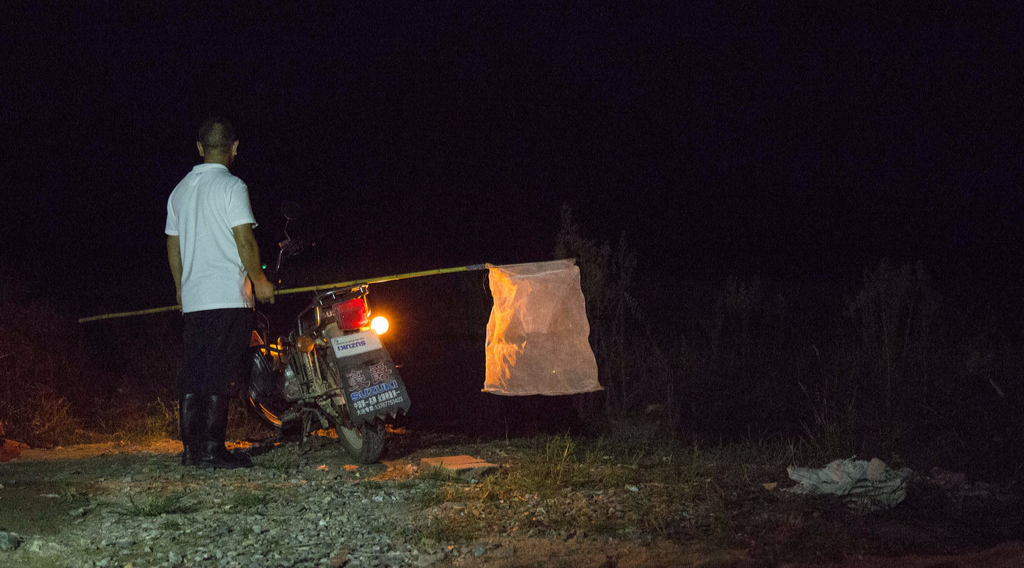 萤火虫的“七夕劫”:捉虫村民一季赚1万 萤火虫的“七夕劫”:捉虫村民一季赚1万