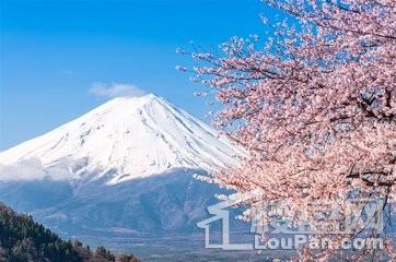 各国年轻人买房压力大PK ,你想去哪个国家?