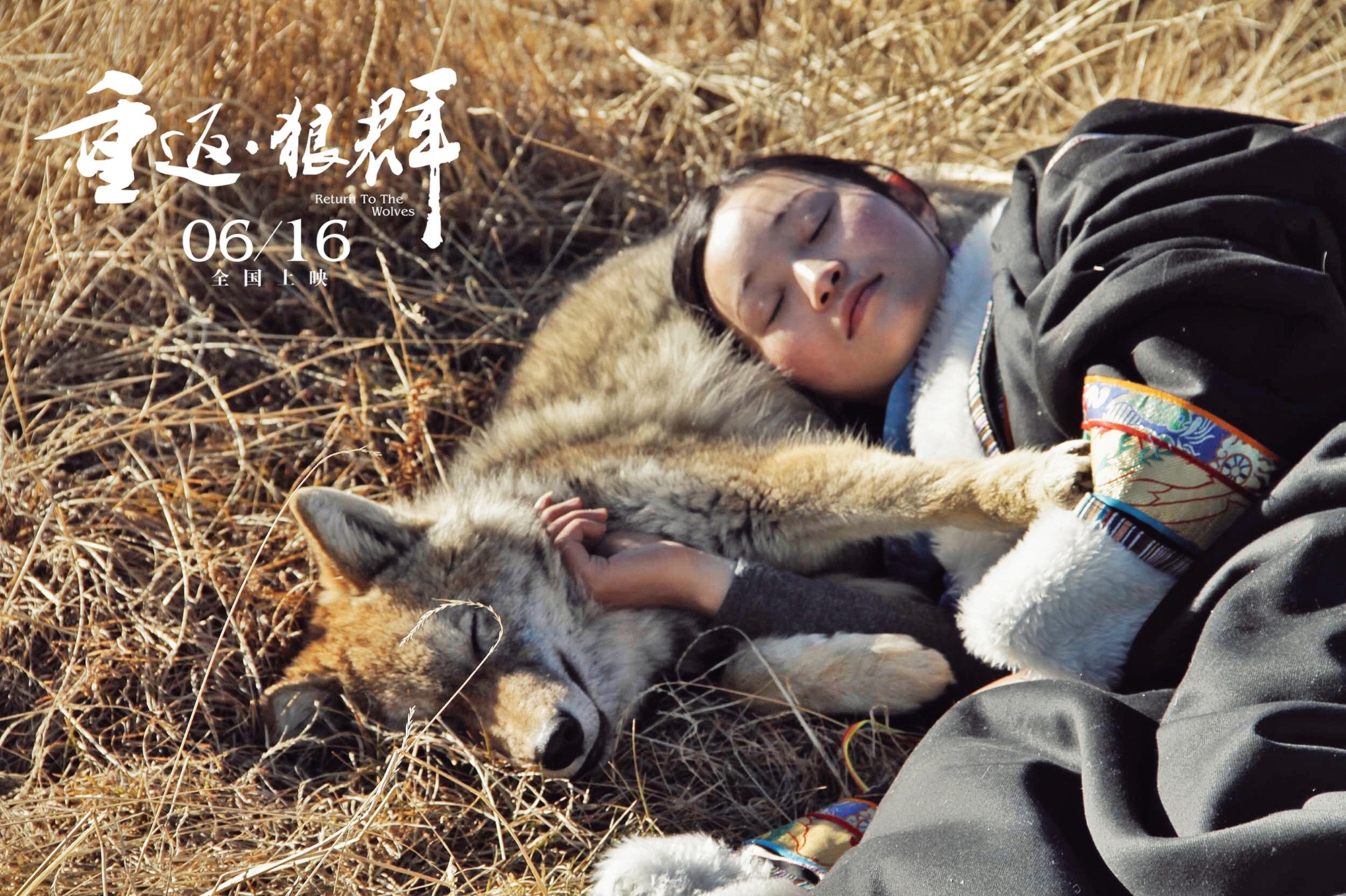 冯绍峰再度与狼结缘 为《重返·狼群》倾情献声