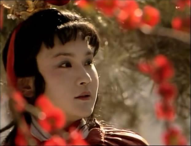 驳胡适(3):曹雪芹是贾宝玉人物原型?红楼梦是曹