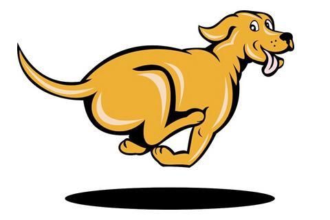 大金狗,车牌尾号是这些数字的车主,四方招财,想