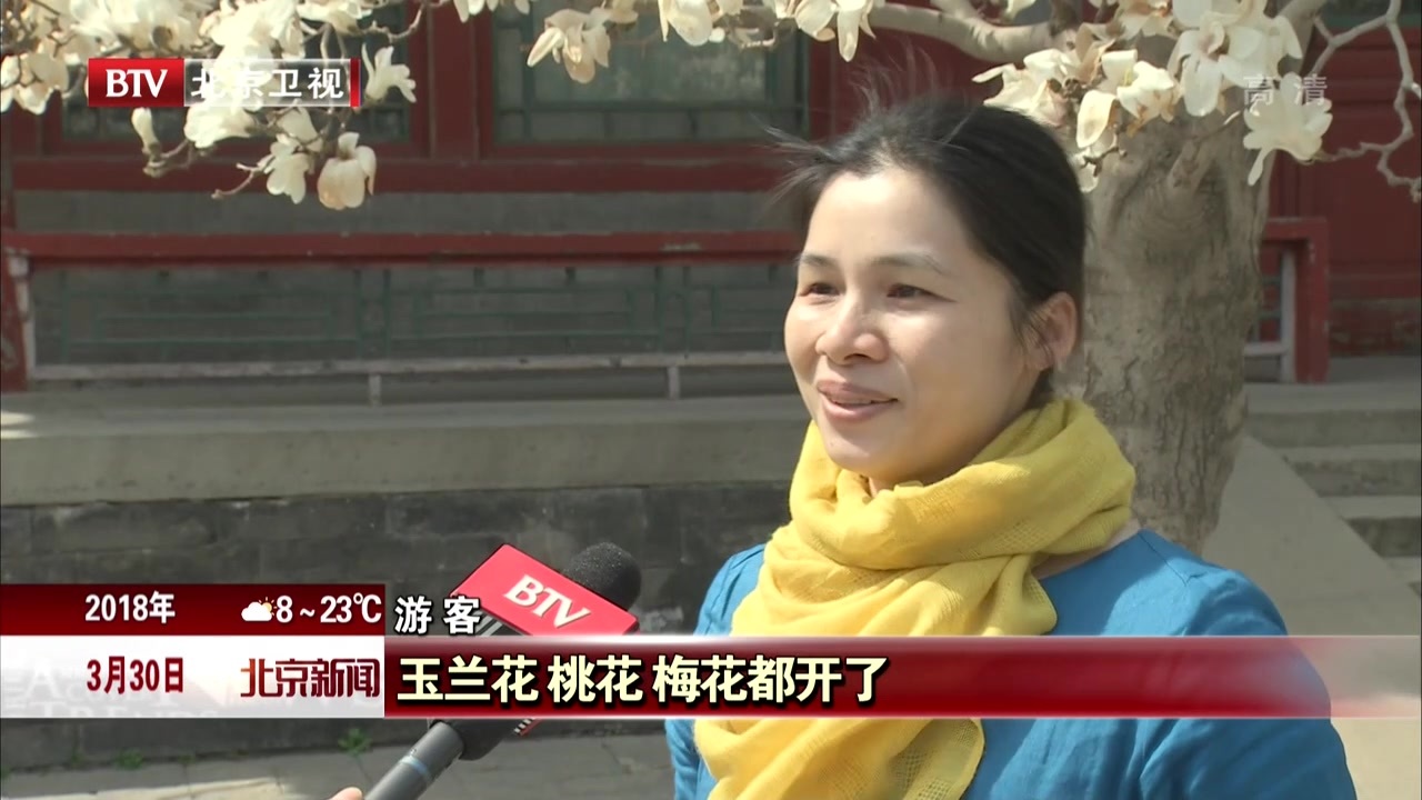 北京:颐和园玉兰芬芳沁春日 北京:颐和园玉兰芬芳沁春日