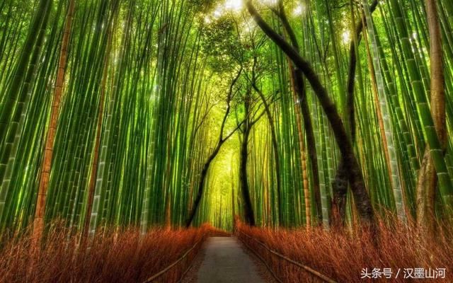 李白《清平乐》词五首,不是云想衣裳花想容的