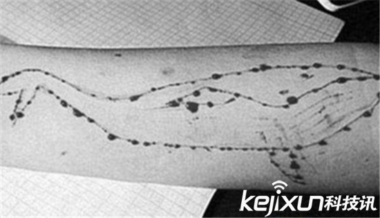 蓝鲸死亡游戏只是在胳膊画鲸鱼?50个任务任务细节曝光! 蓝鲸死亡游戏只是在胳膊画鲸鱼?50个任务任务细节曝光!