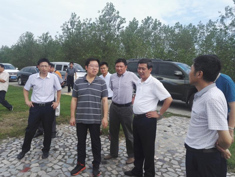 市委常委孙高振到宿松县和望江县