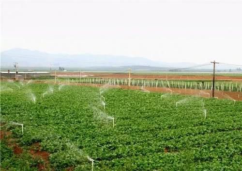 户主去世后,留下来的土地和宅基地,非农户口的