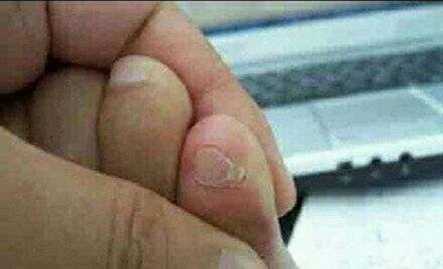 现代汉族与纯血汉族的区别:纯血统汉族可能已