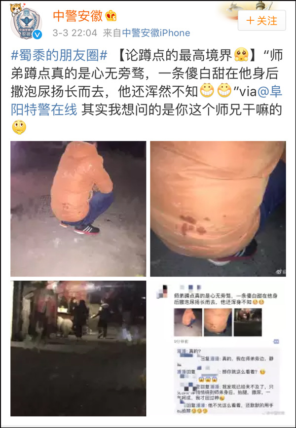 警察正蹲点 一只萨摩耶在他背后尿完扬长而去 警察正蹲点 一只萨摩耶在他背后尿完扬长而去
