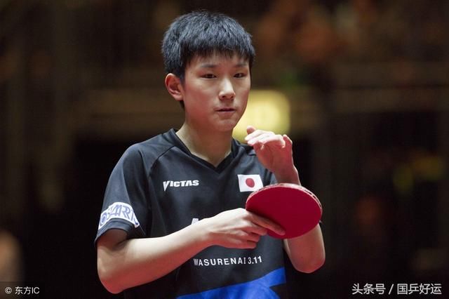 彻底碾压张本智和马龙和樊振东必须下一番苦功