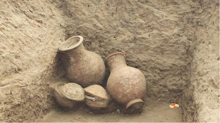 首都师范大学田野考古发掘团队深度参与丰台新宫遗址现场考古实践纪实 首都师范大学田野考古发掘团队深度参与丰台新宫遗址现场考古实践纪实