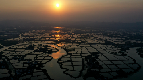 湖州：桑基鱼塘庆丰收