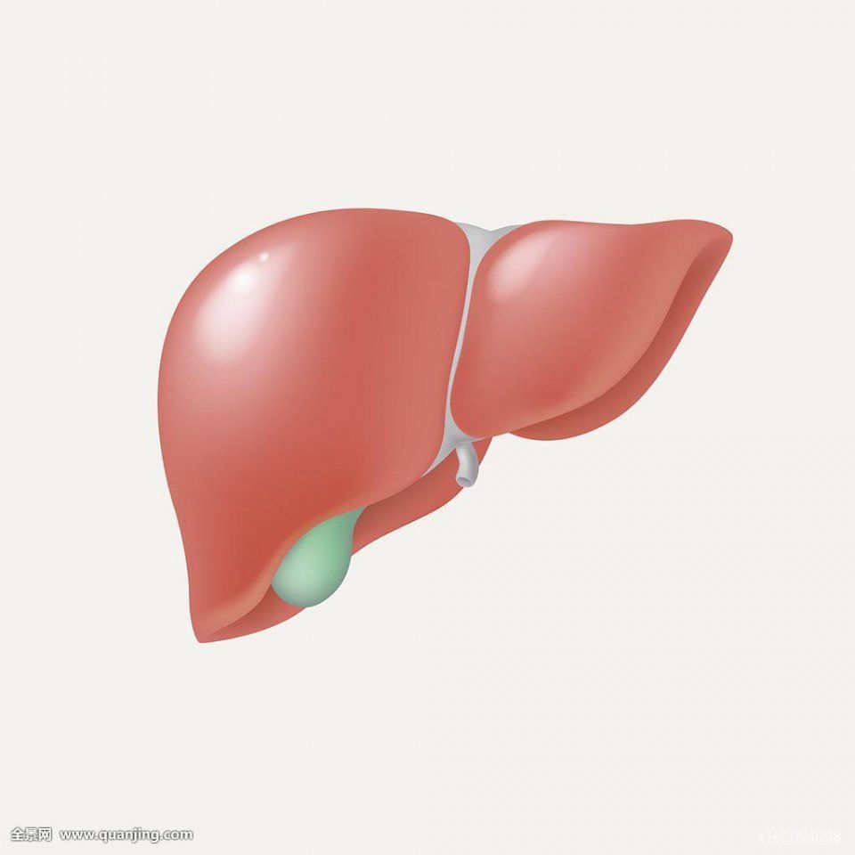 清晨喝杯枸杞红枣水,肝净滋润一整天-鼎浩琦