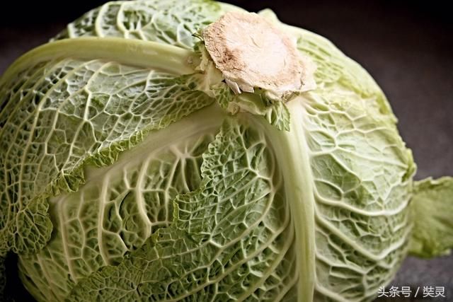 包菜要是这么做,能一下多吃两碗饭,超简单一学就会!