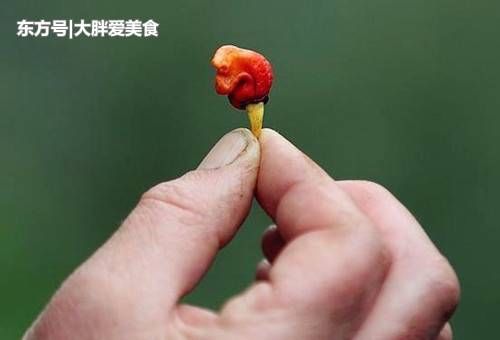 辣椒辣度最新排名,看看咱中国有几种辣椒上榜