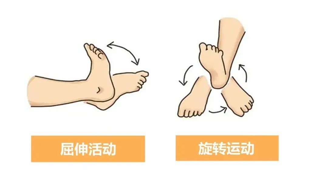 我们就可以做一些踝泵运动,比如在下肢,腿伸直的状态下,脚做背屈动作