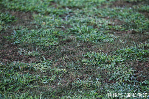 全中超最烂球场+最脏球风 竟还要脸开嘲讽?你