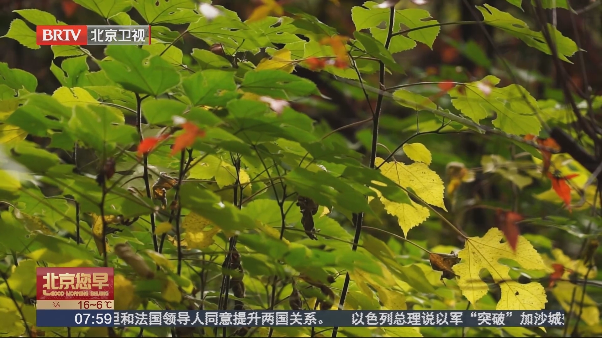 体验城市鸟类调查与生物多样性《北京自然城市观鸟指南》发布