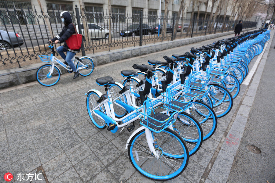 哈罗共享单车大批量投入沈阳 芝麻信用超六百