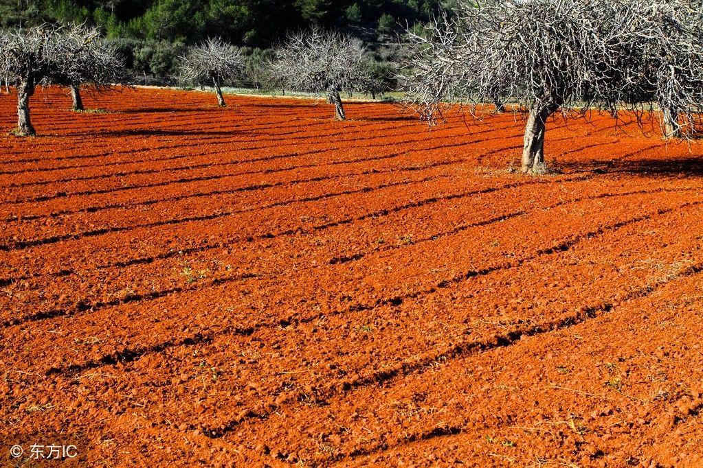 农村老话为什么说农民有三宝是丑妻、近地、破