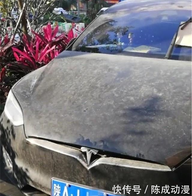 广州一特斯拉占车位,一个月没人开,车窗上一张