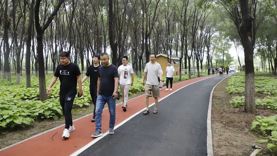绿色生活、低碳出行，顺义区开展全国低碳日健步走活动