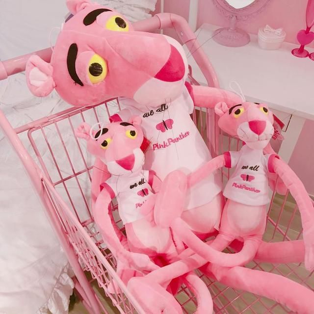 爆红ins的网红小动物不只有火烈鸟,它们闯进卧