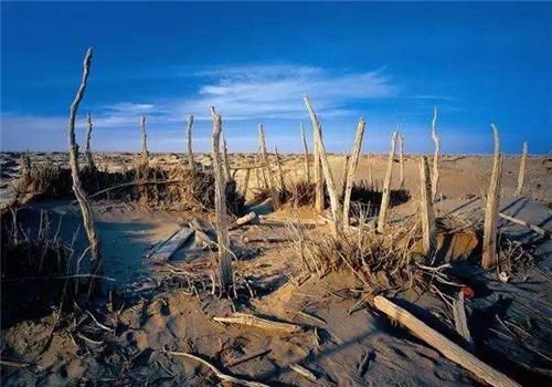 中华民族中,白皮肤的楼兰美女和小河公主,到底