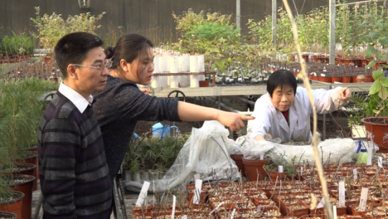 北京需要什么样的森林?人大代表江泽平这样说 北京需要什么样的森林?人大代表江泽平这样说