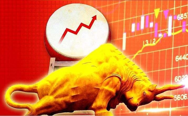 民间股神林园:长期持股不动的散户能赚钱吗,散