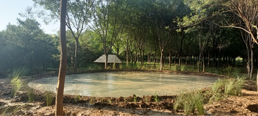 大兴区已建成64处生态保育小区 大兴区已建成64处生态保育小区