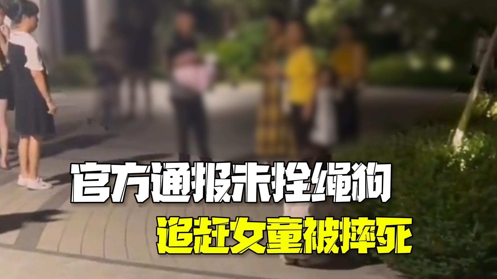 街道办通报未拴绳狗追赶女童被家长摔死:正对双方调解 街道办通报未拴绳狗追赶女童被家长摔死:正对双方调解