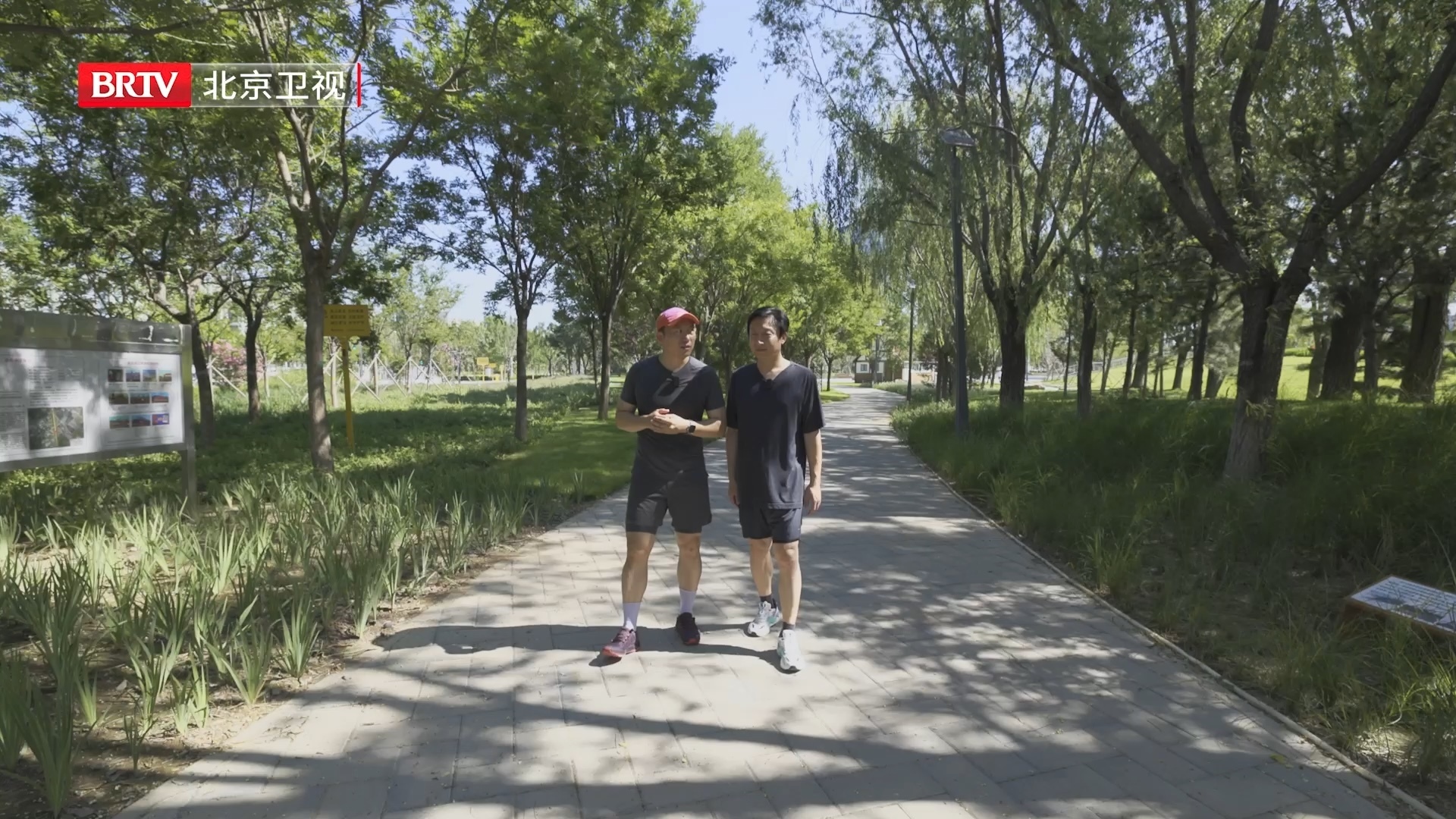 创业如跑步不卷速度卷进步